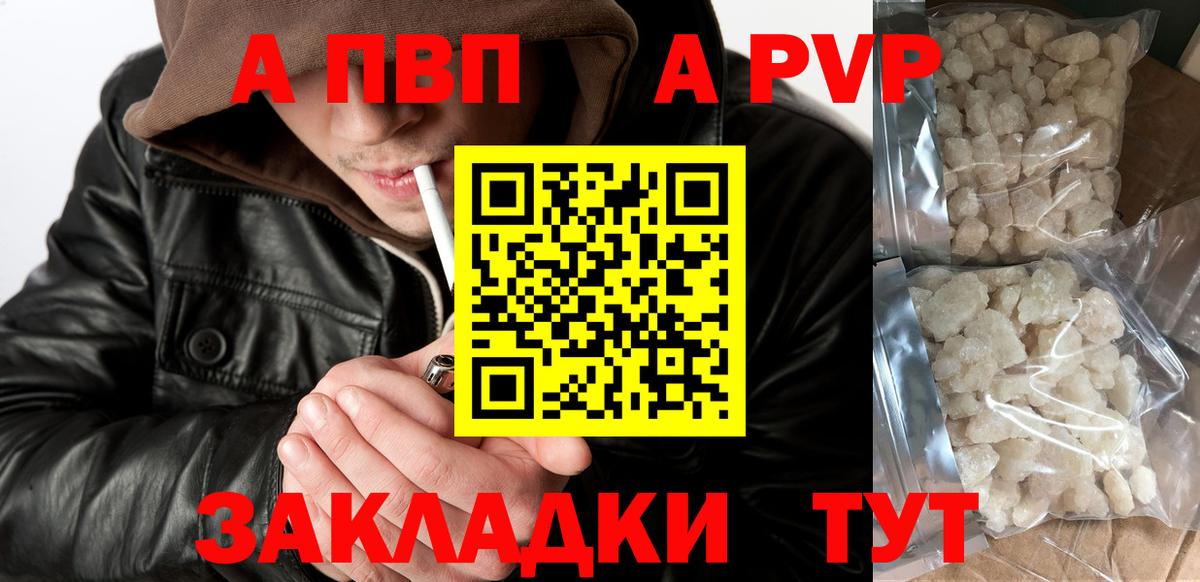 A PVP СК Североморск