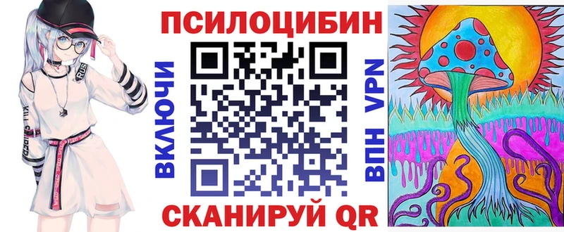 купить наркоту  Североморск  Псилоцибиновые грибы Cubensis 