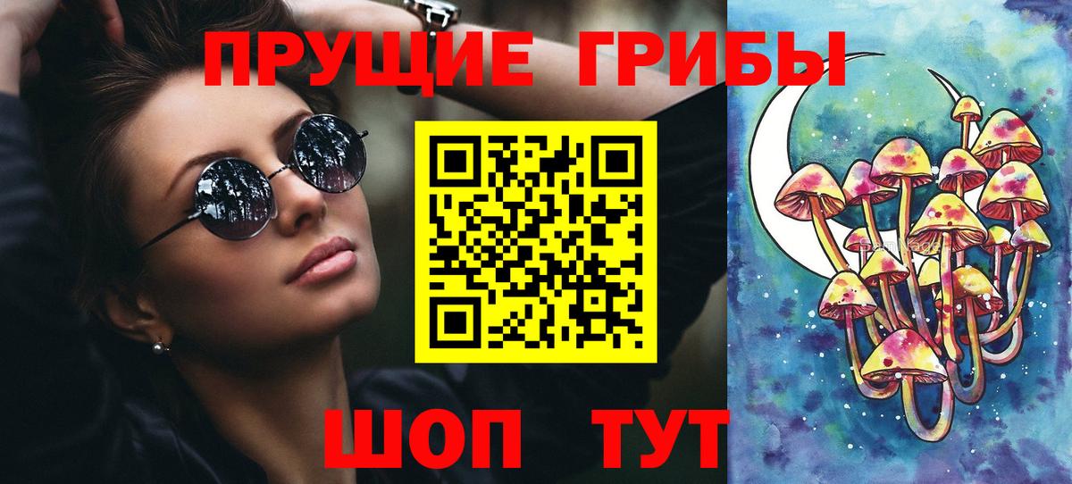 Североморск  Галлюциногенные грибы Cubensis  Вход с VPN 