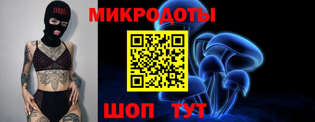 Галлюциногенные грибы GOLDEN TEACHER Североморск